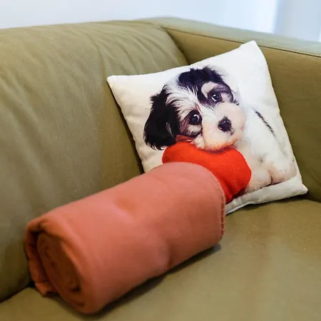 King Seventeen Homes Daire